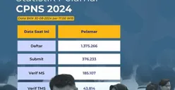 1.375.266 Orang Sudah Daftar CPNS 2024! Ini Daftar Daerah yang Masih Sepi dan Banyak Peminat, Ada yang Baru 5 Pelamar