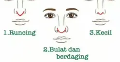 Apa Karakter Terbaikmu? Ungkap Melalui Bentuk Hidung yang Kamu Miliki, Tipe Cuek atau Perfeksionis