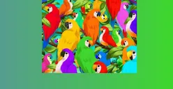 Cari Tahu Apakah Kamu Termasuk Orang yang Teliti dengan Ilusi Optik Berikut Ini, Coba Temukan Bunglon dalam Waktu 10 Detik!