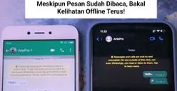 Cara agar WhatsApp Tetap Centang Satu Meskipun Pesan Sudah Dibaca, Bakal Kelihatan Offline Terus!