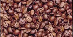 Tes Penglihatan: Temukan Kepala Laki-Laki di Antara Kopi Dalam Waktu yang Sudah Ditentukan, Lihat Bagaimana Kemampuan Otak Kamu