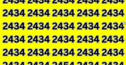 Tes IQ: Temukan 1 Angka Berbeda dari Kumpulan 2434 dalam 7 Detik, Buktikan Kamu Teliti dan Jeli