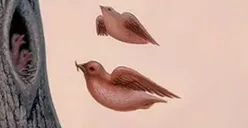 Tes Kepribadian: Lihat Burung atau Hidung dan Mulut? Gambar yang Kamu Pilih Menguak Kelebihan dan Kekuranganmu di Mata Orang Lain