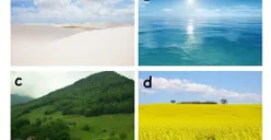 Tes Kepribadian: Pilih Satu Tempat yang Paling Membuat Kamu Tenang dan Hasilnya akan Ungkap Bakat Alami yang Kamu Miliki