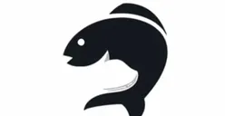 Tes Kepribadian: Ungkap Fakta Menarik dari Gambar yang Pertama Kali Kamu Lihat, Ikan atau Kucing?