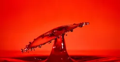 Psikologi Warna Merah: Ingat, Kamu Membutuhkan Pekerjaan yang Memungkinkan Dirimu Berada di Sekitar Orang Lain