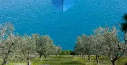Tes Kepribadian: Latar Biru pada Gambar, Awan atau Laut? Jawabanmu Ungkap Sifat yang Paling Menonjol