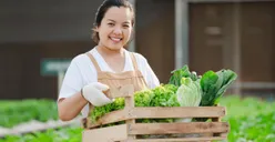 Cepat Panen dan Bikin Dompet Tebal! 5 Tanaman yang Mudah Dirawat dan Menguntungkan untuk Petani Pemula