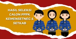 Pendaftaran Ditutup dan 11.000 Lebih Pelamar Dinyatakan TMS, Ini Cara Melakukan Sanggahan di Masa Sanggah PPPK 2024