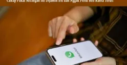Tips Android: Cara Agar WhatsApp Lebih Hemat Kuota Internet, Cukup Pakai Settingan Ini Dijamin Irit dan Nggak Perlu Beli Terus!