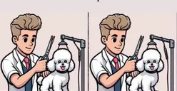Tes IQ: Punya Kemampuan Analisa Baik? Temukan 3 Perbedaan pada Gambar Grooming Anak Anjing, Buktikan Ketajaman Visualmu