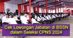 BSSN Buka 141 Formasi CPNS 2024, Simak Rincian Kuota dan Jabatan Apa Saja yang Dibutuhkan di Sini!