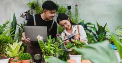 Cuan Cepat dari Kebun Sendiri! 5 Ide Bisnis Tanaman yang Panen Kilat dan Untung Berlimpah