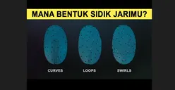 Kepribadian Berdasarkan Pola Sidik Jari, Bagaimana Bentuk Sidik Jarimu?