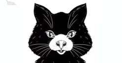 Tes Kepribadian: Kucing atau Tikus? Ungkap Apakah Hubungan Kamu dengan Pasangan Sedang Baik-baik Saja atau Tidak