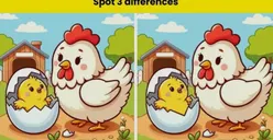 Tes IQ: Seberapa Jeli Mata Kamu? Coba Temukan 3 Perbedaan pada Gambar Ayam dan Anaknya Ini dalam Waktu 12 Detik
