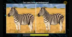 Tes IQ : Perhatikan Zebra Ini dan Temukan 5 Perbedaannya Dalam Waktu 10 Detik!