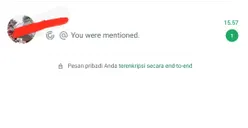 Ini Arti You Were Mentioned WA Setelah Dapat Mention di Fitur Update WhatsApp