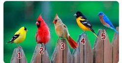 Tes Kepribadian: Kamu Orang yang Sulit Diprediksi atau Pendiam? Ketahui Jawabannya dari Burung Mana yang Menarik Perhatian Kamu!