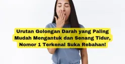 Urutan Golongan Darah yang Paling Mudah Mengantuk dan Senang Tidur, Nomor 1 Terkenal Suka Rebahan!