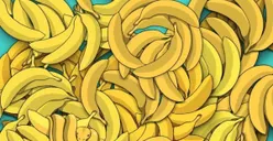 Tes IQ: Hanya Orang yang Punya Mata Tajam dan Teliti bisa Menemukan Ular di antara Pisang ini