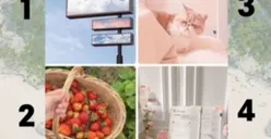 Tes Kepribadian: Pilihlah 1 di Antara 4 Gambar Ini, Kamu Termasuk Orang yang Kalem atau Berjiwa Bebas? Temukan Jawabannya dari Tes Ini