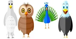 Ungkap Sifat Tersembunyi dari Burung Pilihanmu, Tes Kepribadian Sederhana!