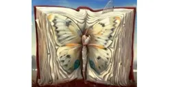 Tes Psikologi: Gambar Pertama yang Dilihat Ungkap Kondisi yang Kamu Rasakan Saat Ini, Wanita, Buku, atau Kupu-Kupu?