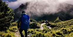 Ini Dia Jurusan Kuliah yang Cocok untuk Pecinta Alam selain Kehutanan dengan Prospek Kerja Bagus