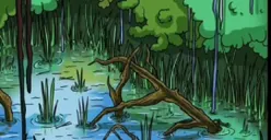 Tes IQ: Hanya yang punya Mata Tajam dan Teliti bisa Menemukan Buaya di Hutan Bakau Pada Gambar Ini