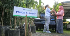 BRI dan Komitmen Hijau: Berbagai Program Inovatif Menuju Net Zero Emission 2050