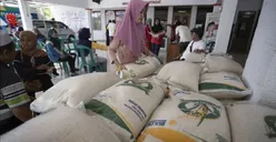 Fix Cair! Bantuan Pangan Disalurkan di 20 Kabupaten Kota Mulai Hari Ini, Pengganti BLT Mitigasi Risiko Pangan?