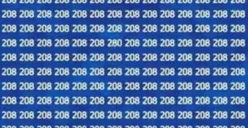 Tes Penglihatan: Amati dengan Fokus! Ada Deretan Angka yang Berbeda pada Kumpulan Angka 208, Angka Berapa?
