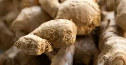 Sering Insomnia dan Sulit Tidur? Coba Resep Alami Minuman Jahe Ini Yuk, Mudah Bikinnya Loh!