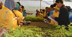 Begini Cara Cepat Kaya dari Bertani:  Anti Gengsi Cuan Pasti!