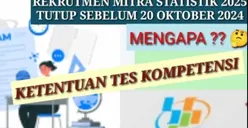 Ternyata Ini Alasan Kenapa Proses Rekrutmen Mitra Statistik 2025 Badan Pusat Statistik Ditutup Lebih Awal