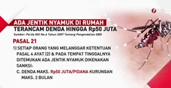 Ada Jentik Nyamuk di Rumah? Siap-siap Warga Daerah Khusus Jakarta Terancam Denda hingga 50 Juta Rupiah