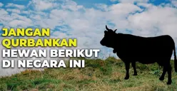 Kebiasaan Unik Menyambut Perayaan Idul Adha di Beberapa Negara, Ada yang Sama Persis dengan Tradisi di Indonesia