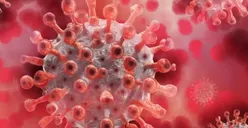 Dampak Penyebaran Kasus Virus Mpox di Sejumlah Benua, Pemerintah Indonesia Mulai Memperketat Pemeriksaan di Bandara