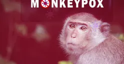 Sedang Menjadi Wabah Endemik di Sejumlah Negara Dunia, Begini Cara Mengantisipasi Penyebaran Virus Mpox Atau Monkeypox
