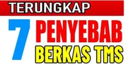 11,471 Pelamar Formasi PPPK 2024 Dinyatakan Tidak Memenuhi Syarat, Ternyata Ini Sebabnya!