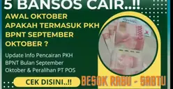 5 Jenis Bantuan Sosial yang Kembali Disalurkan di Pekan Pertama Oktober 2024, KPM PKH dan BPNT Tinggal Tunggu Hari