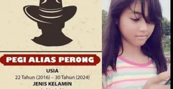 Pengamat Hukum Pidana Ungkap Alasan Utama Presiden Joko Widodo Angkat Bicara Soal Penanganan Kasus Pasangan Vina-Eky
