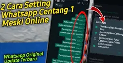 Laporan Pesan Centang Satu tapi Online? Inilah Dua Langkah Mudah Menyamarkan Status Online dari Pengguna WhatsApp Lain