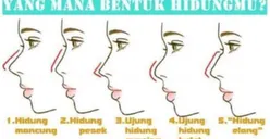 5 Kepribadian Seseorang Berdasarkan Bentuk Hidung, Ternyata Hidung Pesek Memiliki Pribadi yang Sangat Berkesan Lho!