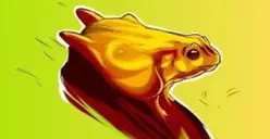 Katak atau Kuda yang Kamu Lihat Pertama Pada Tes Ilusi Optik Ini? Jawabanmu Akan Mengungkap Kepribadian Aslimu dengan Sifat Dominan Sabar