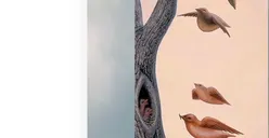 Tes Kepribadian: Apa yang Pertama Kamu Lihat, Pohon, Burung, atau Wajah Wanita? Jawabannya Bisa Ungkap Kebutuhan Terpendammu