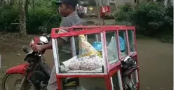 7 Ide Usaha Keliling Pakai Motor, Jual Sayur di Perumahan Laris Manis