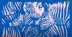 Tes Kepribadian: Gambar Zebra atau Singa yang Kamu Lihat Pertama Kali? Jawabannya…