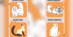 Tes Kepribadian: Jenis Kucing yang Kamu Pilih Bisa Menunjukkan Karakter dan Watak Asli, Coba Yuk!